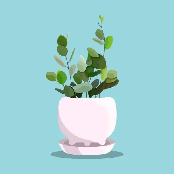 Vector illustration of Vector indoor flower in a pot