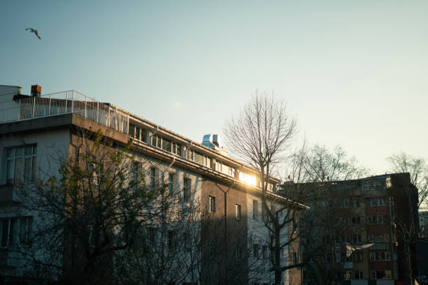 Street view at sunset
