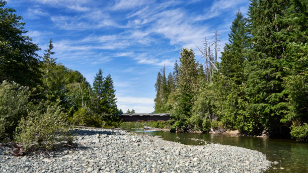 Looking down a river to a remote logging road bridge with wispy clouds in the bright blue sky. Looking down a river to a remote logging road bridge with wispy clouds in the blue sky. canadian forestry industry stock pictures, royalty-free photos & images