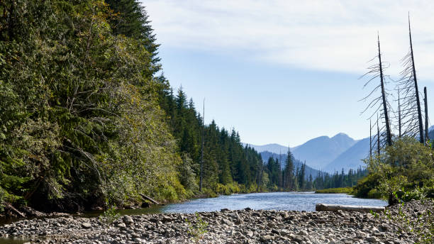 Beautiful view of a river, distant mountains and clouds from a rocky river bed.