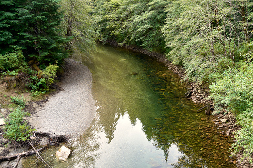 View from a bridge looking down the river with the bright green trees reflected in the river water and a rocky shoreline.