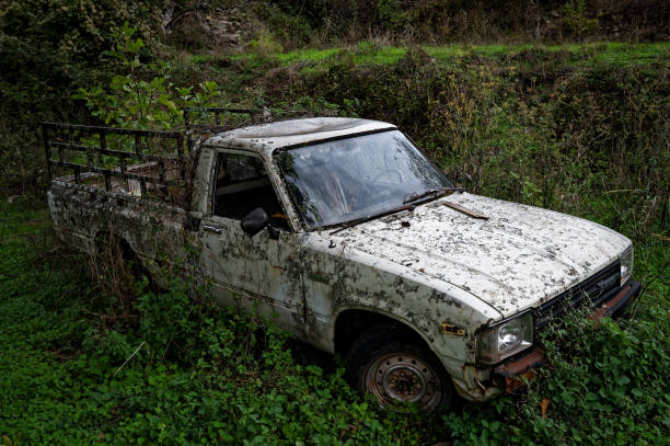 Abandoned car – Foto