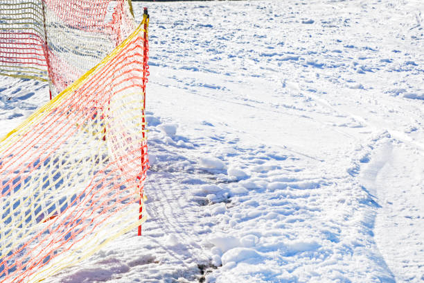 safety net on the ski slope elephant. Leisure
