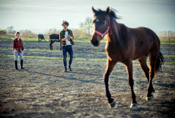 farm worker poses for portrait with his horses