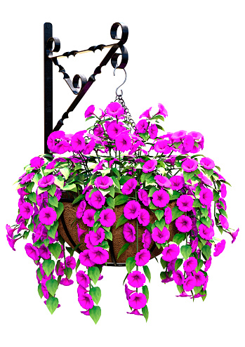 Hanging Basket with a lot of pink and purple Flowers