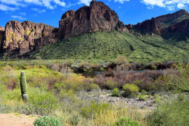 istock Salt River Recreation Area Arizona 2119765246