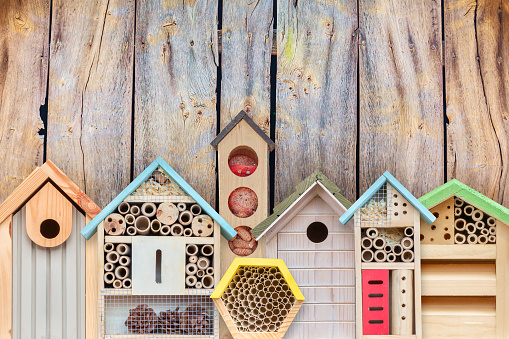 Colorful new bird houses and insect hotels in front of a wooden wall