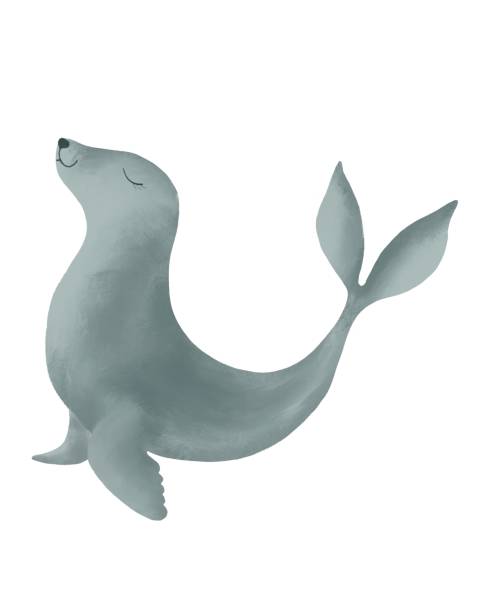 istock Cute Seal illustration. Digital art, hand drawn by watercolor, acril brushes. Textured effects. 2119790697