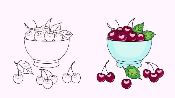 Vector illustration of Drawing of a bowl with ripe cherries and leaves, still life for coloring.