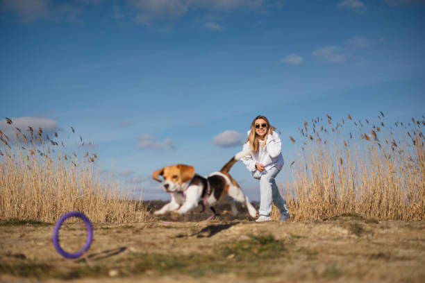 Capture the joyous moment as a woman throws a toy for her adorable beagle dog during a sunny walk. This charming image radiates happiness and the bond between owner and pet, creating a heartwarming scene of outdoor play