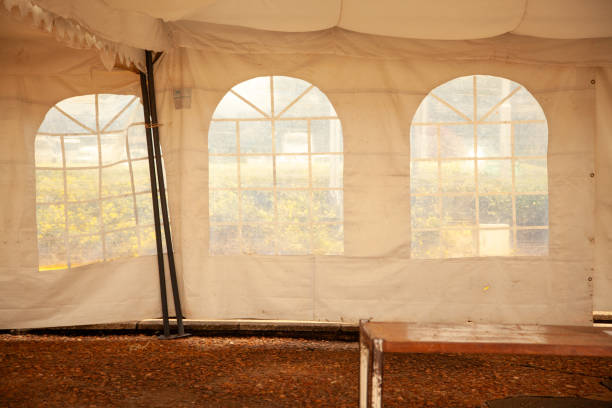 Build a campsite and stay overnight in the jungle