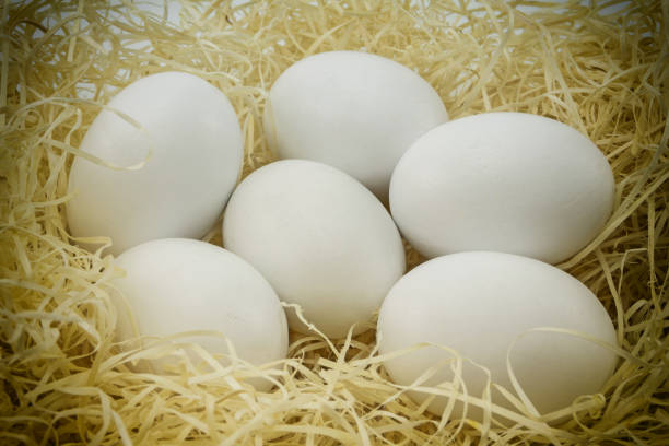 istock Close-up white chicken eggs on a bed of straw 2119868396