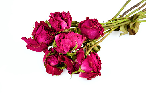 Bouquet of roses unsuitable for a gift on a white background