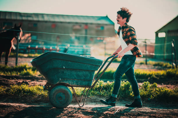 Blue wheelbarrow stands on a green lawn in spring. Gardening concept.