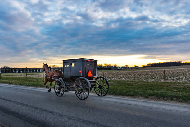 istock Amish horse and buggy on cloudy day 2119986063