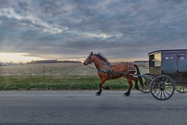 istock Amish horse and buggy early morning 2119986824