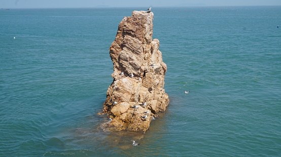 A rock jutting from sea with a seagull perched on it