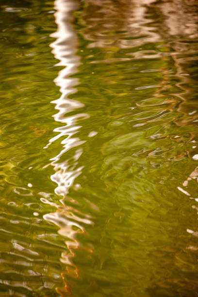 istock Green lake river water texture background 2120022649