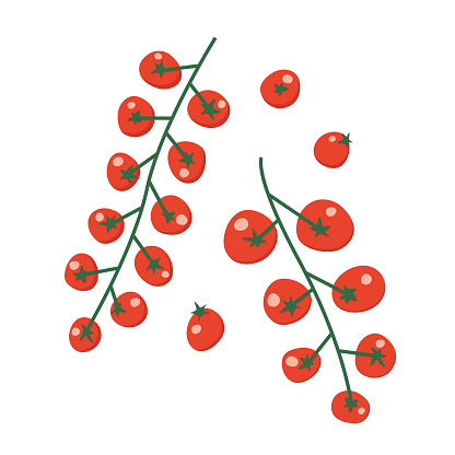 fresh red cherry tomatoes from farmers market; perfect for use in culinary blogs, recipe cards, or food-related social media posts- vector illustration