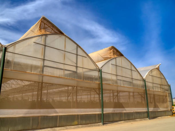 istock fruit and vegetable greenhouses murcia 2120078536
