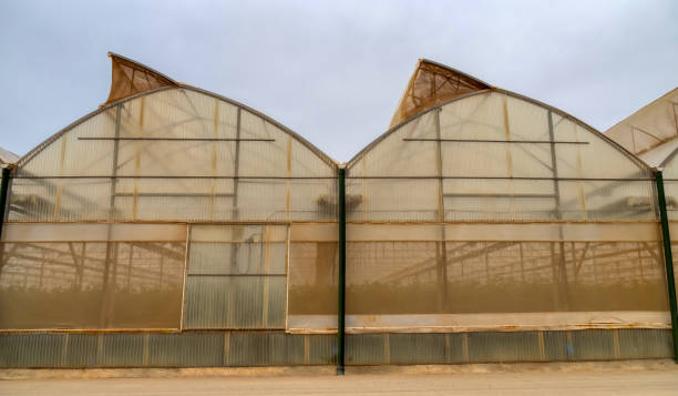 istock fruit and vegetable greenhouses murcia 2120079064