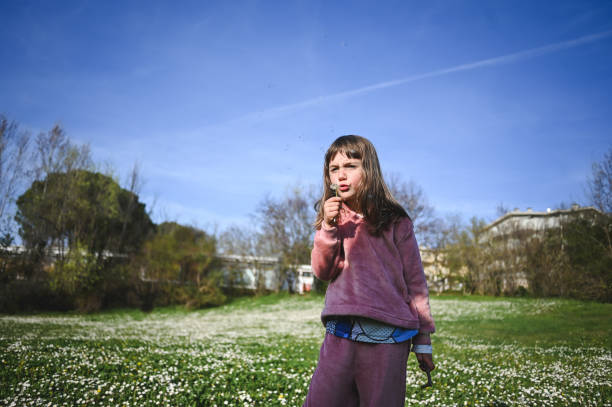 Preschool girl blowing on dandelion.