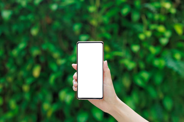 istock A woman's hand holds a smartphone with a blank screen against a lush green background, a 2120125461