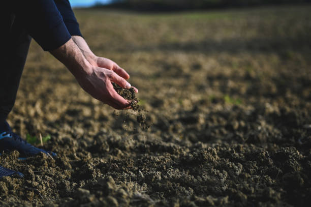 istock farmer examining ground close up. 2120127557