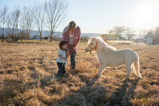 Young Mother in her Twenties with Her Two Year Old Daughter Leading a Small White Shetland Pony in a Grassy Field at Dusk
