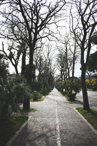 istock City street with bare trees. 2120157950