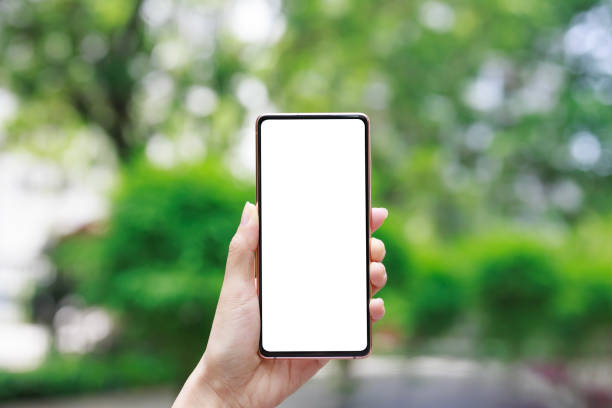 istock A woman hand holding a mobile smartphone with a blank screen, set against a blurred background of a city park 2120164704