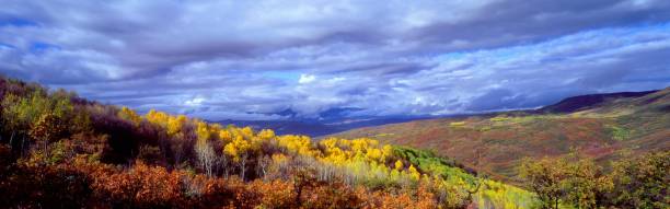 istock Autumn's Embrace: A Tapestry of Colors 2120169915