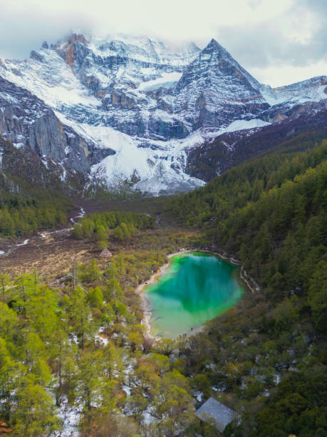 drone aerial view of yading nature reserve in china. snowy chenrezig picturesquely surrounded by evergreen trees and lake - silk pearl imagens e fotografias de stock