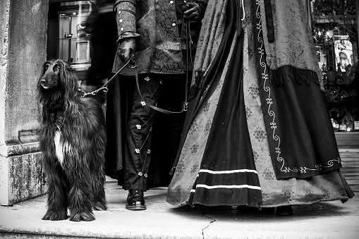 An Afghan hound stands dignified beside an owner in traditional attire, both exuding timeless elegance. The monochrome enhances the majestic and cultural aura.