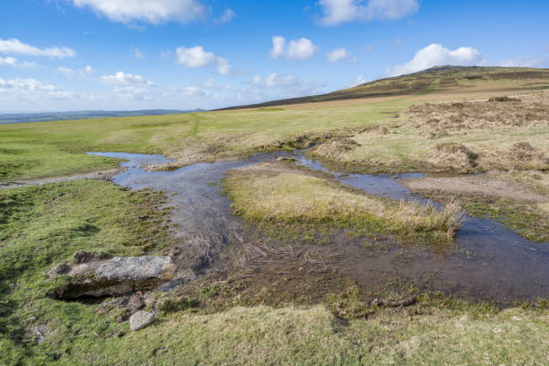 istock Walk to Cox Tor after the rains 2120216212