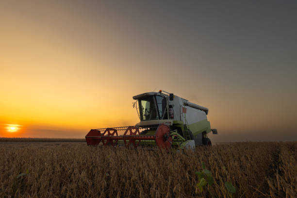 istock Harvesting of soybean field with combine. 2120226549