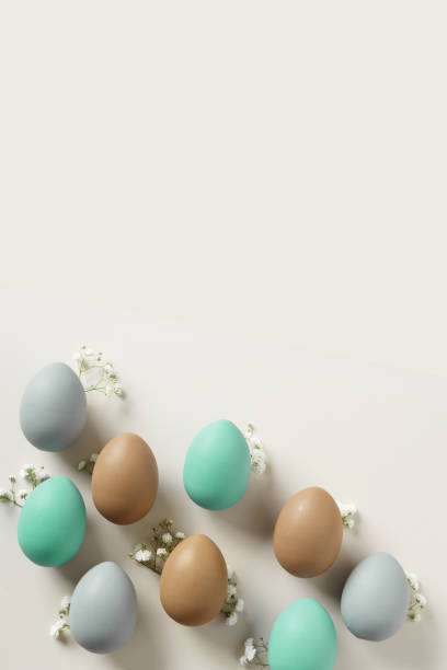 istock Easter Eggs pattern with White Gypsophila flowers on Light beige Background. Dyed colorful eggs in pastel colors, spring holiday photo, tender soft hues, flatly of celebration food and white blooms 2120234767