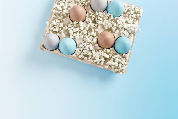 istock Pastel Easter Eggs with white Flowers in Carton box on Blue Background, top view chicken egg painted sky blue, beige colors. Easter celebration concept. Festive food, minimal still life holiday 2120234774