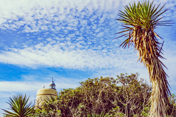 Palm tree and Carbonera lighthouse on Punta Mala, La Alcaidesa, Spain. Lantern overlooks the Strait of Gibraltar.