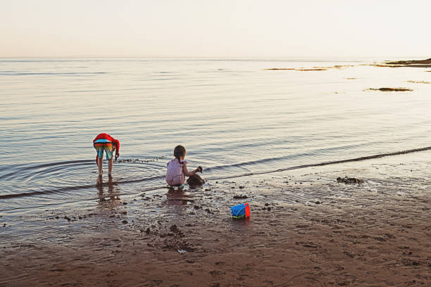 Child's bucket, spade and other toys on tropical beach against sea and blue sky.