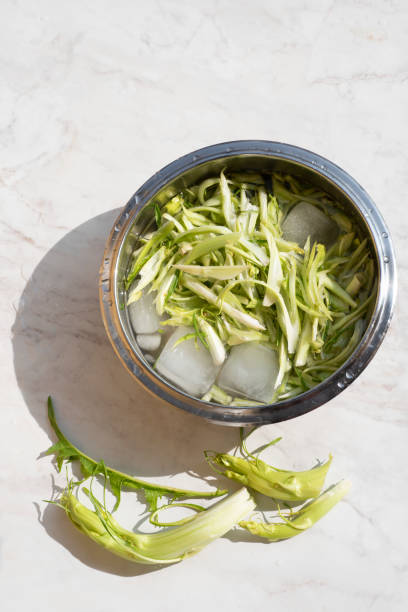 Puntarelle alla romana or asparagus Catalonian chicory salad in a bowl with ice and cold water to remove bitter taste. Roman cuisine. Italian traditional seasoning recipes: spring. Top view, sun light Puntarelle alla romana or asparagus Catalonian chicory salad in a bowl with ice and cold water to remove bitter taste. Roman cuisine. Italian traditional seasoning recipes: spring. Top view, sun light puntarelle stock pictures, royalty-free photos & images