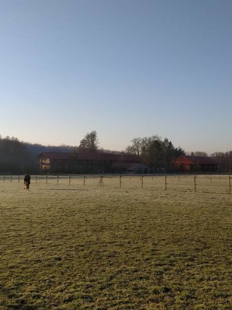 istock Paddock for horse, frosted grass, sunset 2120292182