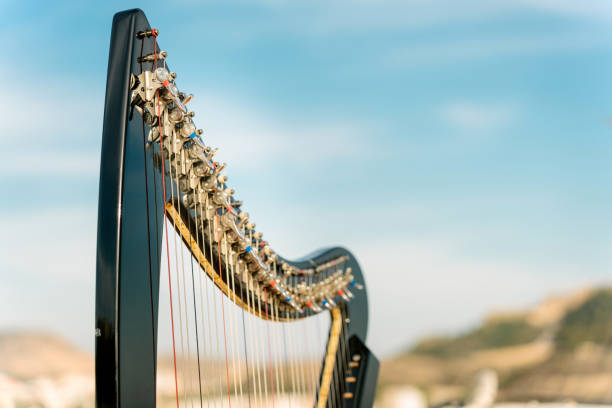A harp being played at a wedding reception