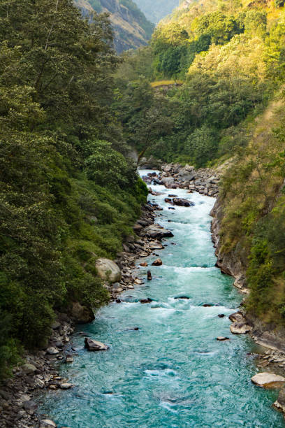 istock Tamor River on route to Kanchenjunga Base Camp Trek, Nepal 2120324688