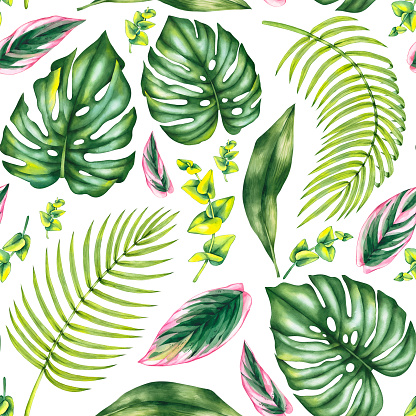 Watercolor blooming seamless pattern with pink Calathea stromanta and tropical leaves of monstera, eucalyptus and date palm. Botanical tropical seamless pattern for textiles, fabrics, wallpapers, etc.