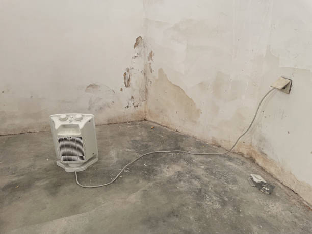 istock Dry room after water damage 2120353257