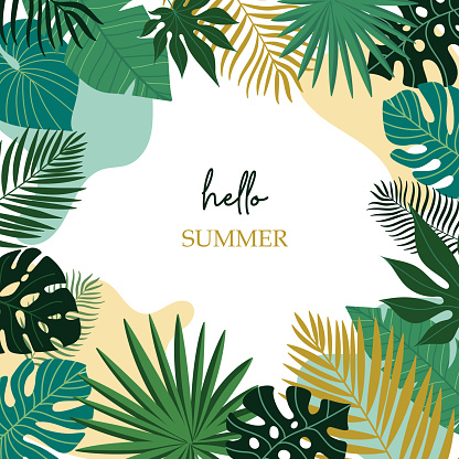 Summer abstract background, banner, poster with tropical leaves. Jungle exotic leaves. Modern trendy colorful design. Vector template for social media posts.