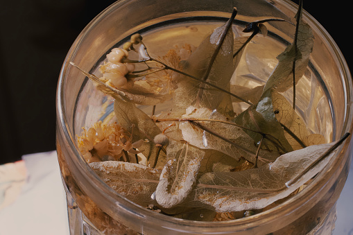 A large cup full of linden tea. Linden flower tea leaves. Medicinal linden decoction.