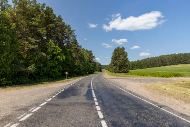 istock paved road with trees in the forest in sunny weather 2120386639