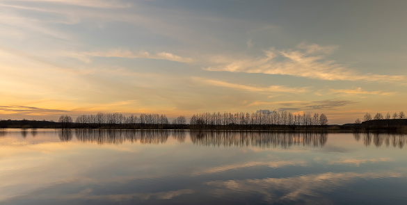 A thin row of deciduous trees on the lake shore, a beautiful landscape on the lake at sunset